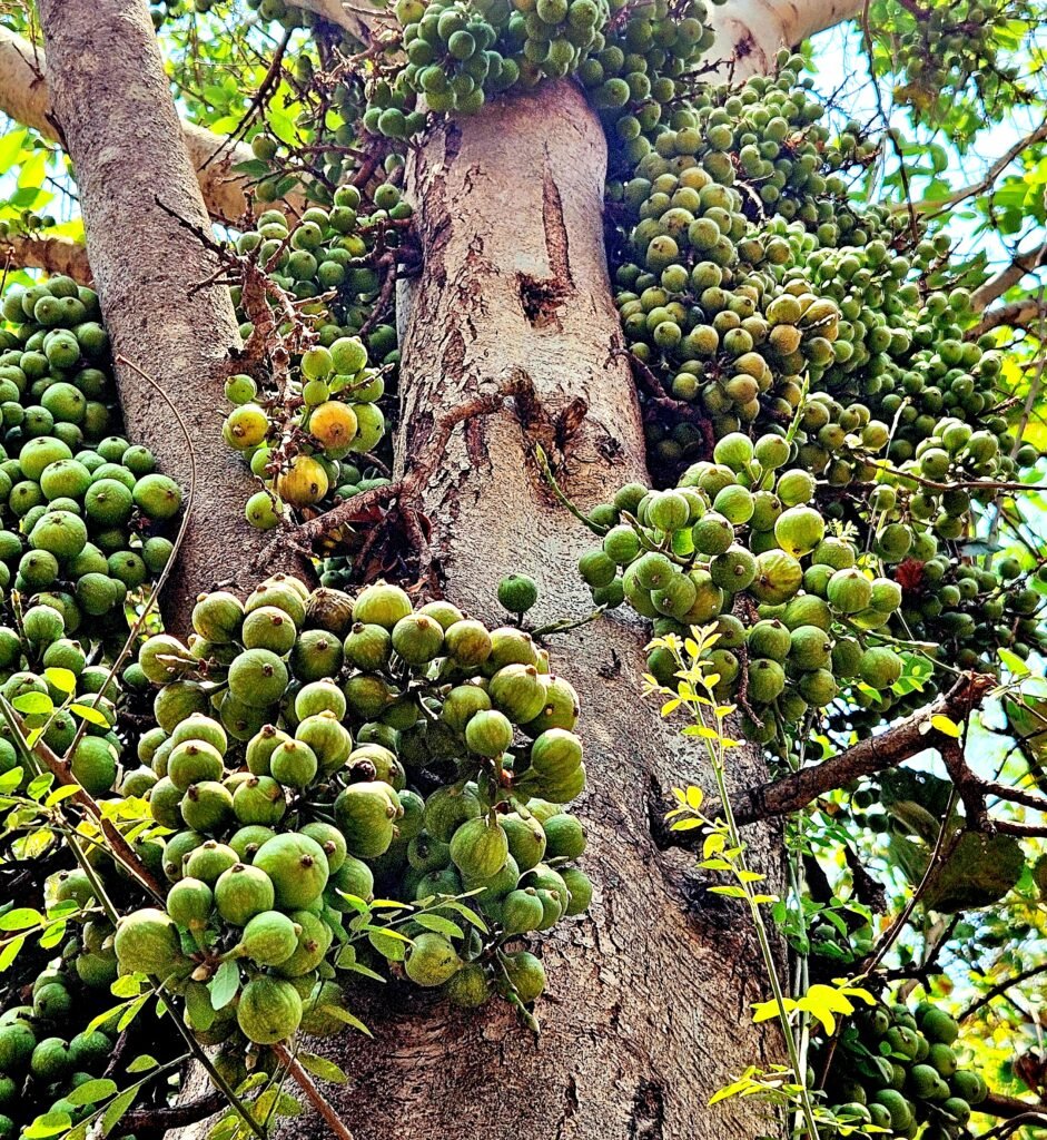 theWordofMentor's tweet photo. Observing what a person is doing in detail,
lets you know what that person is actually.
A tree is judged with its fruit.
- A Great Mentor's Word
#metaphor #ML #transparency #reasoning #AI #data #cognitive #JEPA #BrainHealthForFuture #Brain #mentorsword #purpose #coaching https://t.co/zeGH70ypge
