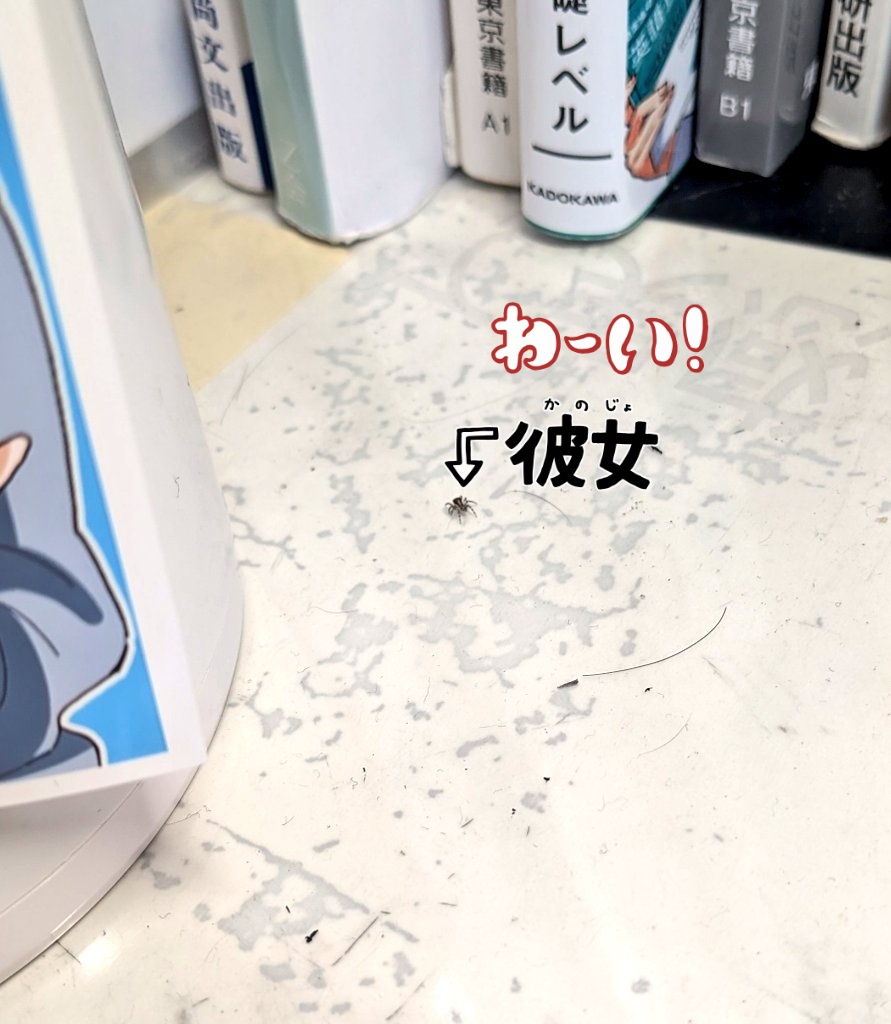 白面書浪 tweet media