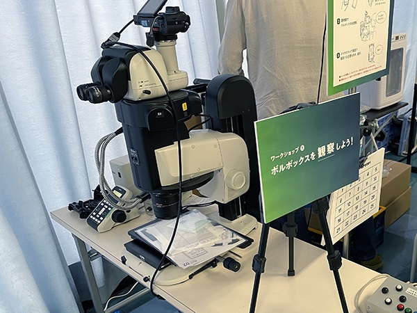 para_micro_TLV's tweet photo. ／  
今年もやります！  
顕微鏡で観察しよう ボルボックス！ 
＼    

#博物ふぇす 12  
ぱらぱらミクロ　G55　7/19、20両日
今年も顕微鏡持っていきます🔬  
顕微鏡で見るボルボックスは一段と可愛いですよ！
ぜひ見に来てください https://t.co/s8DjzUaaCq