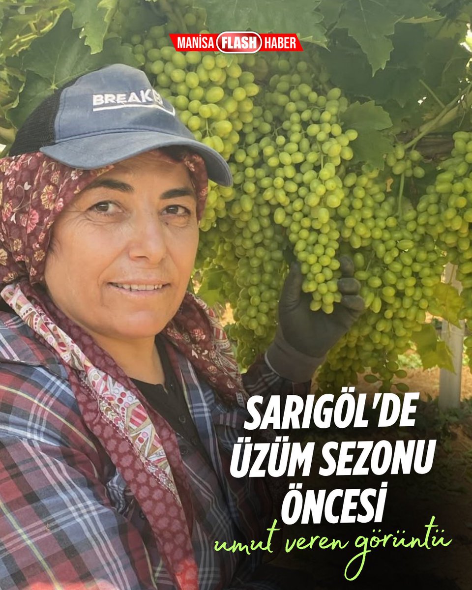 flashmanisa's tweet photo. Sarıgöl'de üzüm sezonu öncesi umut veren görüntü https://t.co/7NvylEWaTe https://t.co/qhhUMOM5IN