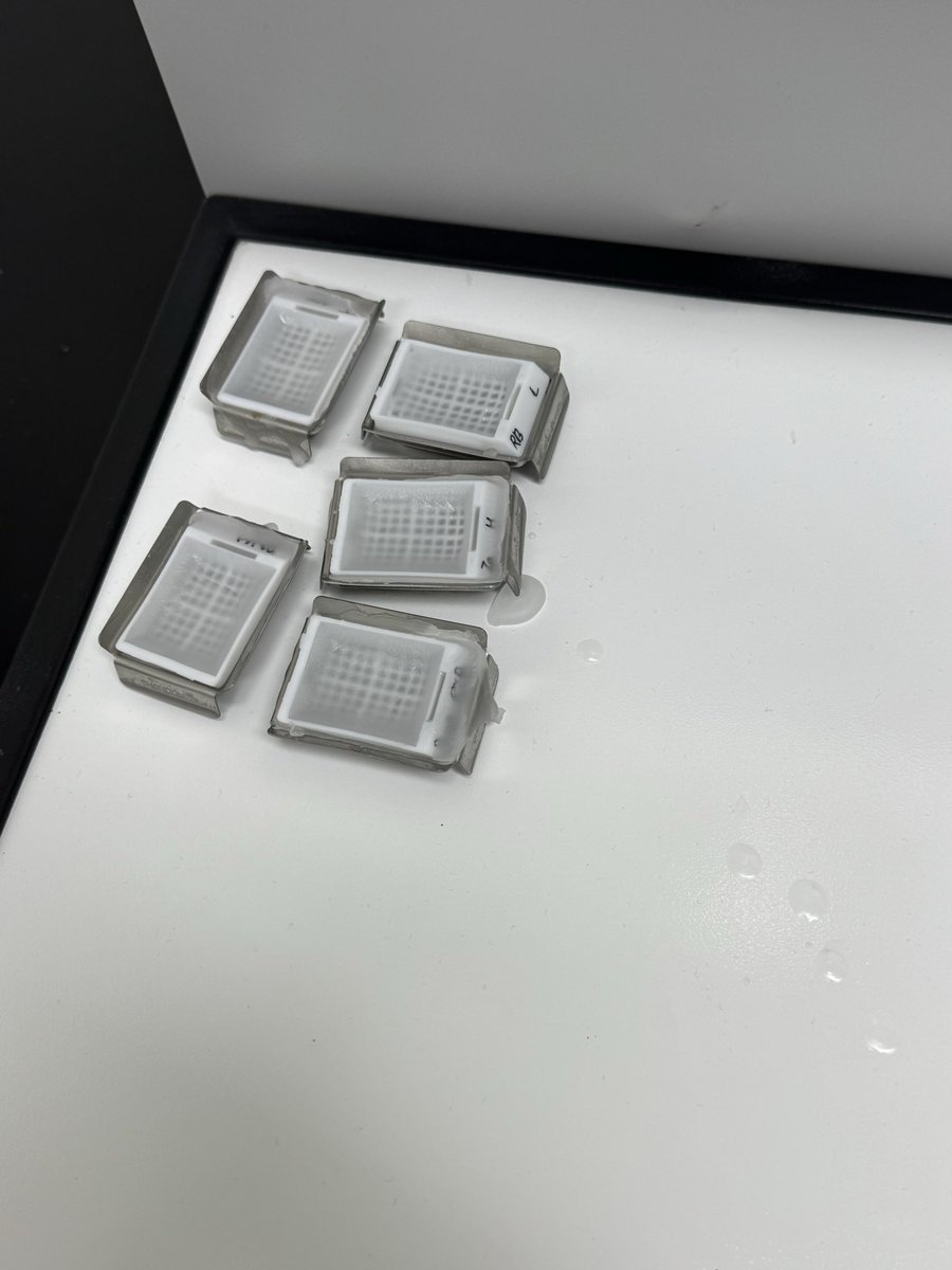 _iskkw's tweet photo. اليوم الثالث من التدريب العملي:

استكملنا معالجة العينات بالمرور بمرحلة الـ Xylene، ثم طمرها وتجهيزها في قوالب الشمع (Embedding) باستخدام أجهزة الطمر المخصصة.

كل شيء جاهز ومثبت متحمس لخطوة التقطيع بكره بإذن الله! 🥼
#FSGene_Summer_training #Histology https://t.co/ATxR95BYgn