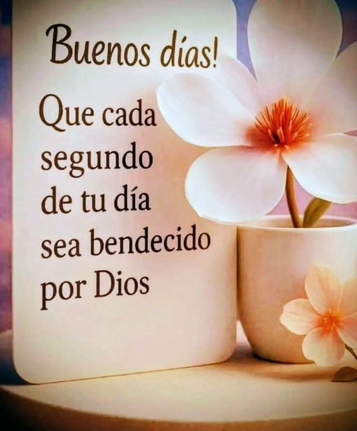 samuel_ca1's tweet photo. En ningún lugar, Dios instruye a los cristianos para juzgar a los incrédulos, ni para  imponer con fuerza, el reino de Dios en la tierra.
Será Dios mismo, quien ejecute el juicio durante la tribulación, y en la resurrección final.! Amén.
Hermoso día Martes.!🌄 https://t.co/nBpbiX8LRc