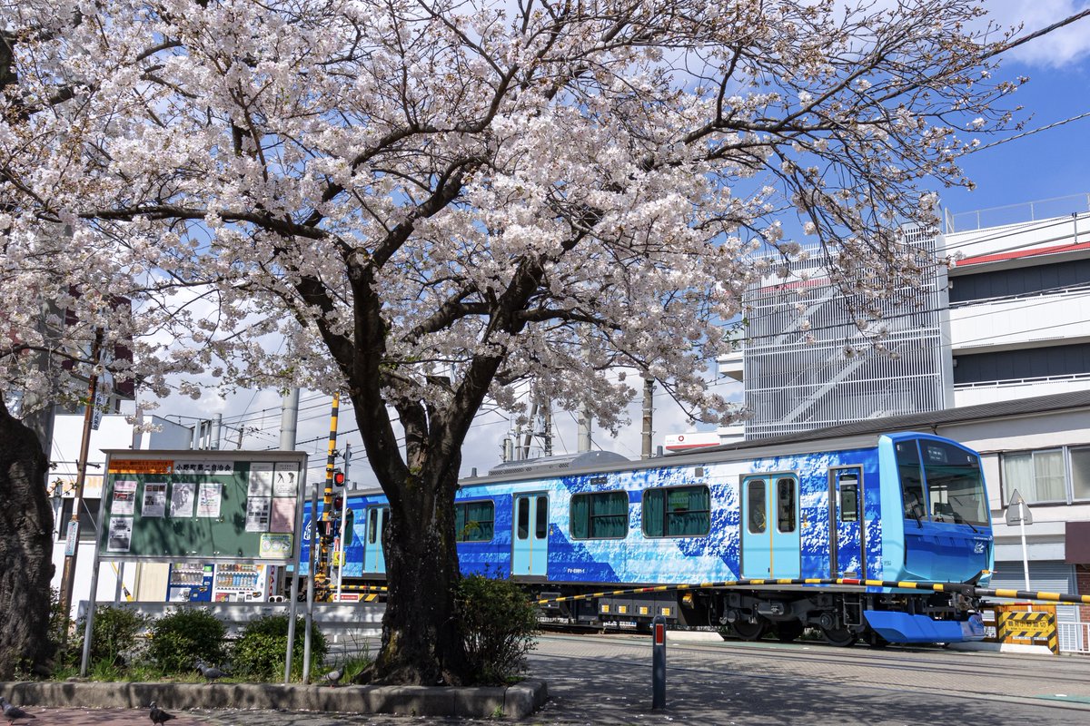 ice__salt's tweet photo. 客乗せるんですか https://t.co/T82BXHF5Je