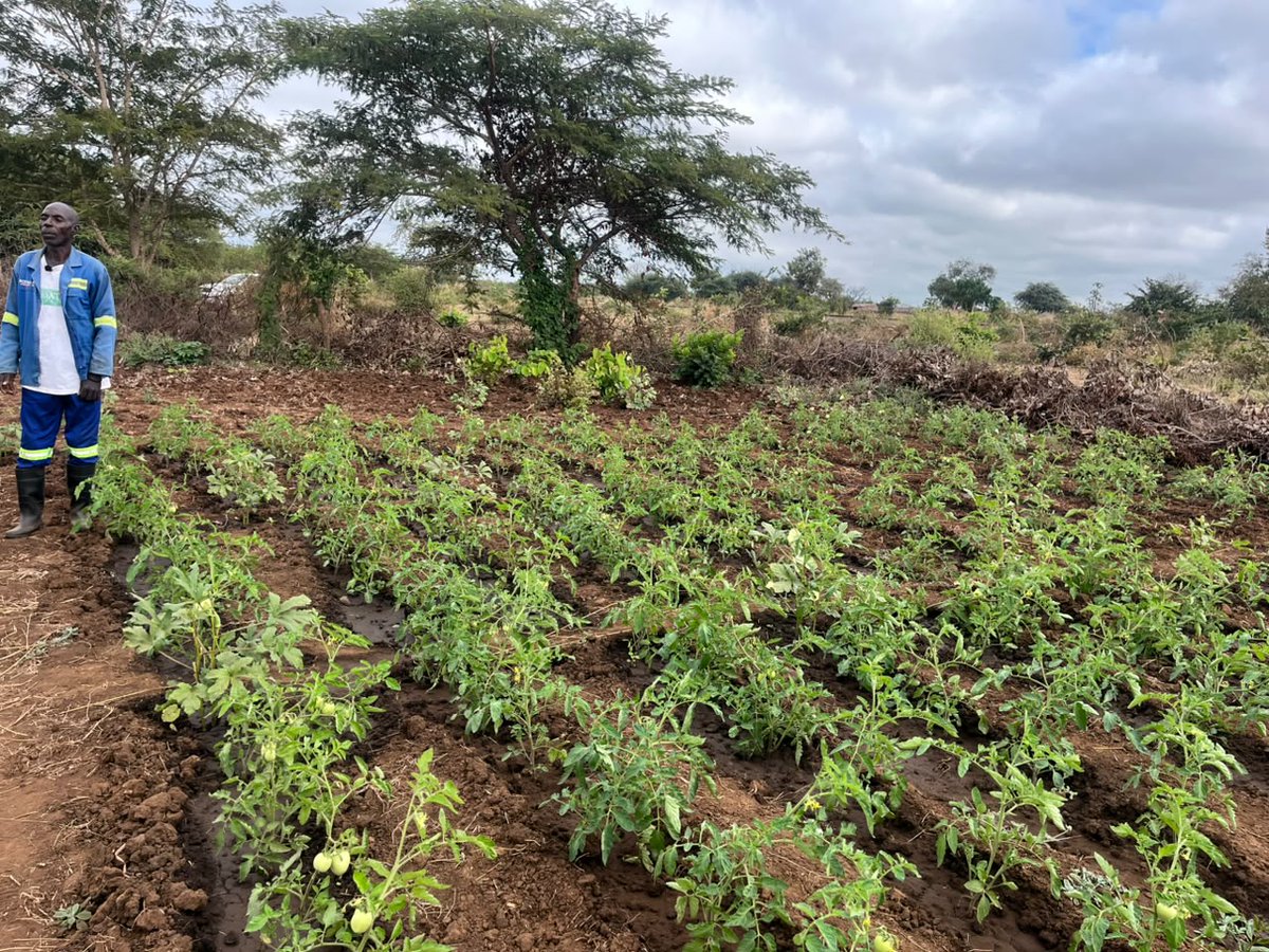 savechildrenMoz's tweet photo. In Kambulatsitsi the WSC established a community garden following the rehabilitation of a borehole under the LINK Project Income generated from the sale of vegetables will support the maintenance of the water system, helping ensure its long-term sustainability https://t.co/Xj2Ap7hYtU