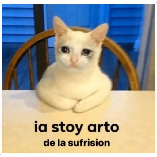 _larubiax's tweet photo. @periquita_verde https://t.co/anlj1ugPoS
