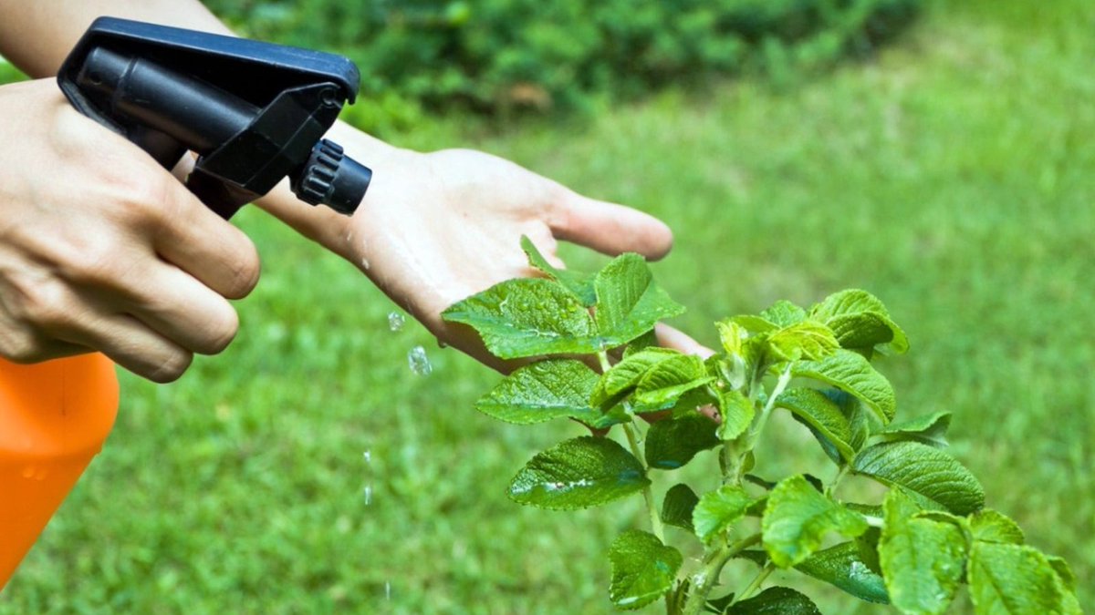 Give A Shit About Nature tweet media