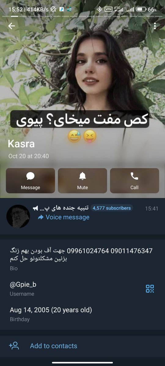 Lliliuum_lon's tweet photo. مثل اینکه چنتا بچه سال بودن و دستگیر شدن
بخاطر یه حرکت مسخرشون جون چنتا دختر گرفته شد

اینا مال ابان پارساله که من و یکی از دوستامم گذاشته بودن https://t.co/5fHjsUcDhq