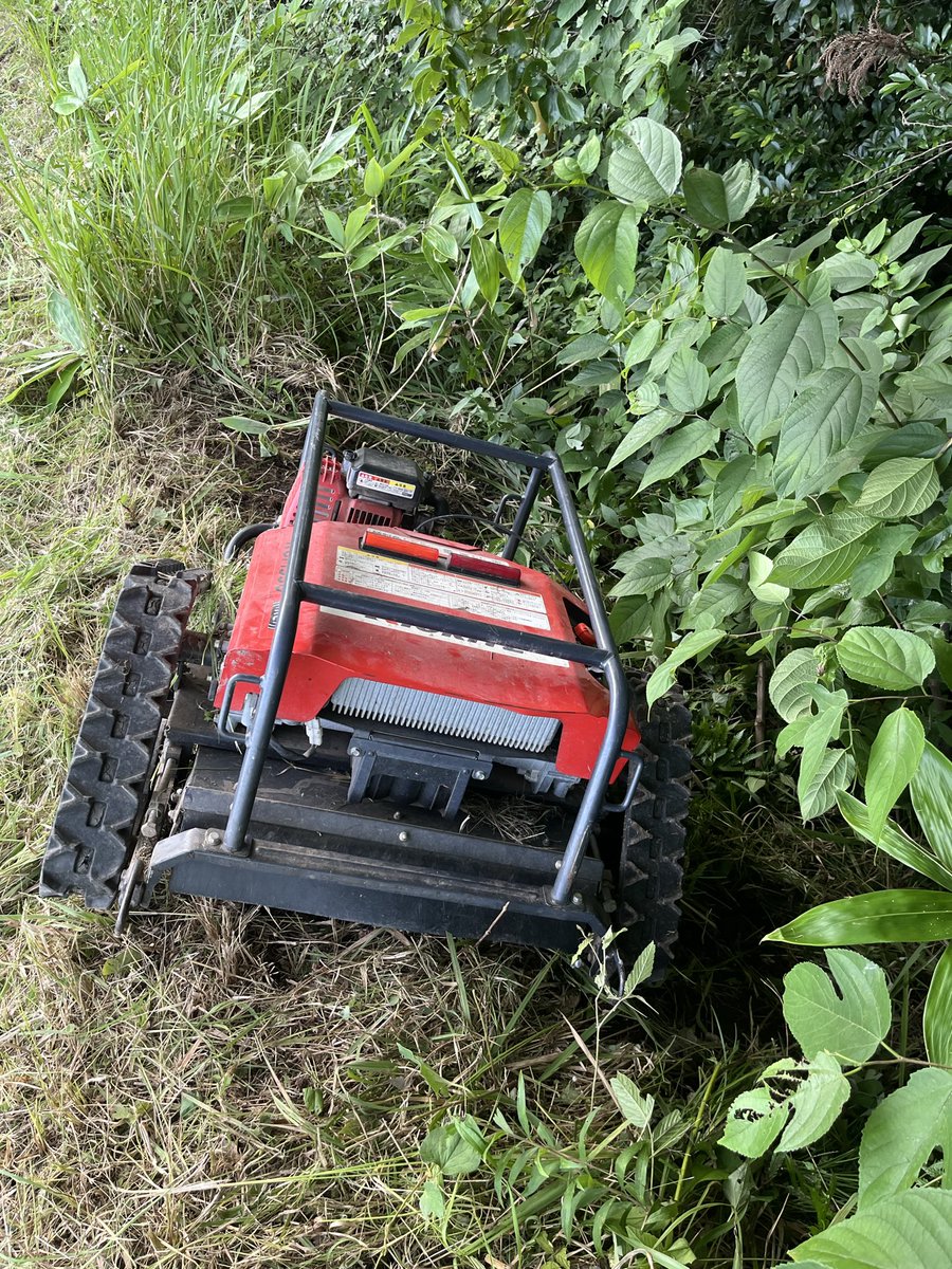 kenjynoufu's tweet photo. 今日の草刈は危なかった😱
法面になっているかと思いきやエグれて逆バンクなってた😭
危うく竹藪に転がり落ちるところでした😅
何とか引っ張り上げました😮‍💨
腰が逝っちゃうかと思った😂 https://t.co/p7mbTsY9l4