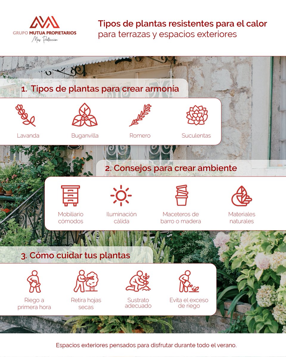 MPropietarios's tweet photo. 🌱 Las altas temperaturas del verano no tienen por qué impedir que disfrutes de una terraza o un balcón lleno de vida.

Escoger especies adaptadas al calor es una forma sencilla de mantener los espacios exteriores en buen estado con un menor esfuerzo de mantenimiento. Plantas como la lavanda, la buganvilla, el romero o las suculentas destacan por su resistencia y su capacidad para aportar color incluso durante los meses más cálidos.

☀️ En nuestro #BlogGMP, repasamos las mejores opciones para este verano y compartimos recomendaciones para ayudar a protegerlas durante los episodios de calor intenso.

https://t.co/5jaMqn9B0O

#Terrazas #Plantas #Verano #Hogar #Jardín #GrupoMutuaPropietarios