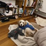 Photo by RLAndrewAuthor 🇦🇺 (@RAndrewAuthor)