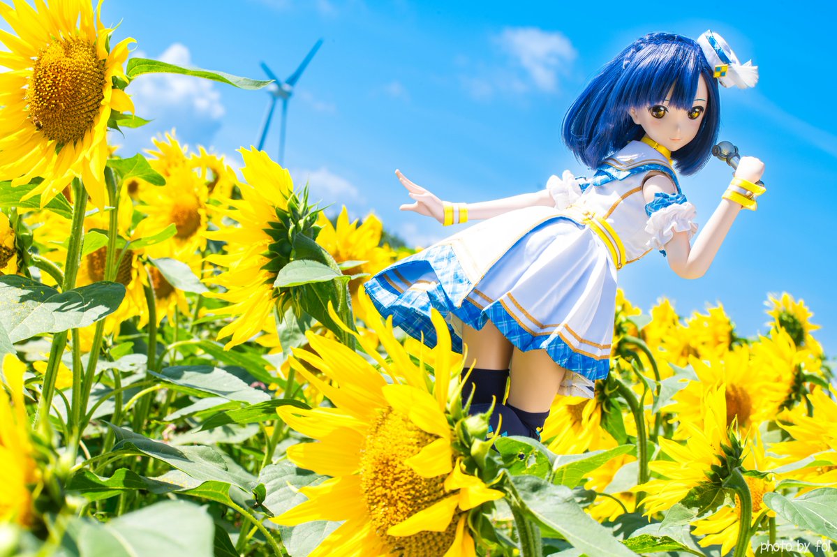 ひまわりの日 今年も撮りに行ければいいな🌻