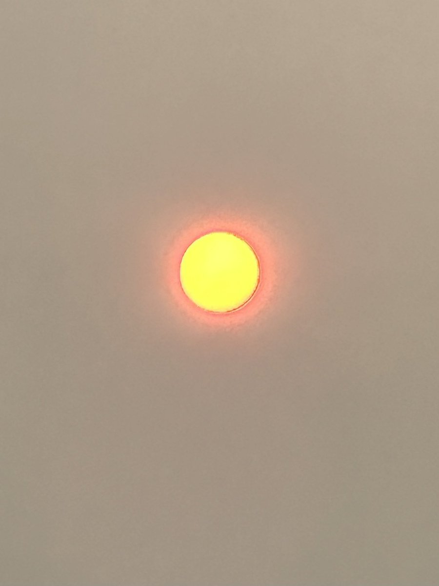 MDurnion's tweet photo. You know it’s gonna be a hot one today!!!  ☀️🥵☀️ #FeelingHot #OttawaOntario https://t.co/BAvZzT0w4Y