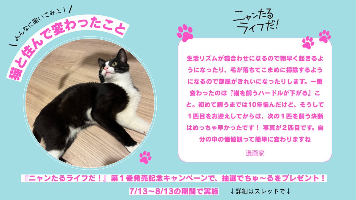 Kiss_kodansha's tweet photo. 『ニャンたるライフだ！』(@2en_matu 祀木円著)発売記念でXキャンペーン実施中！🐈‍⬛

抽選で「ちゅ～る」と新作「アクティブちゅ〜る」をプレゼント!

#ニャンたるライフだ #猫と住んで変わったこと

キャンペーン中は、編集部員が集めた猫エピソードも投稿するよ！

詳細と注意事項はスレッドに🐈‍⬛🎀 https://t.co/NHNt2DB6Cn