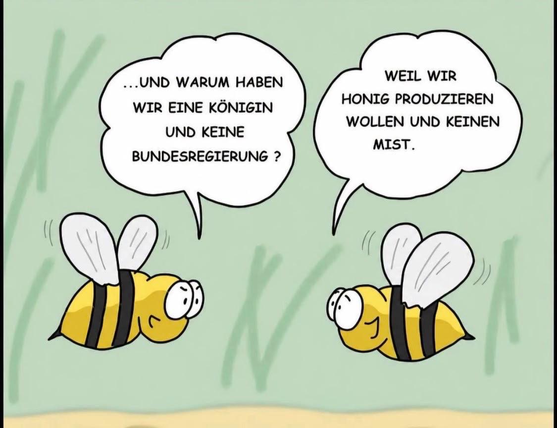 8008ERi06's tweet photo. Wir brauchen Alice Weidel als Königin 💙📷 😍 https://t.co/XUlY0Yi7x0