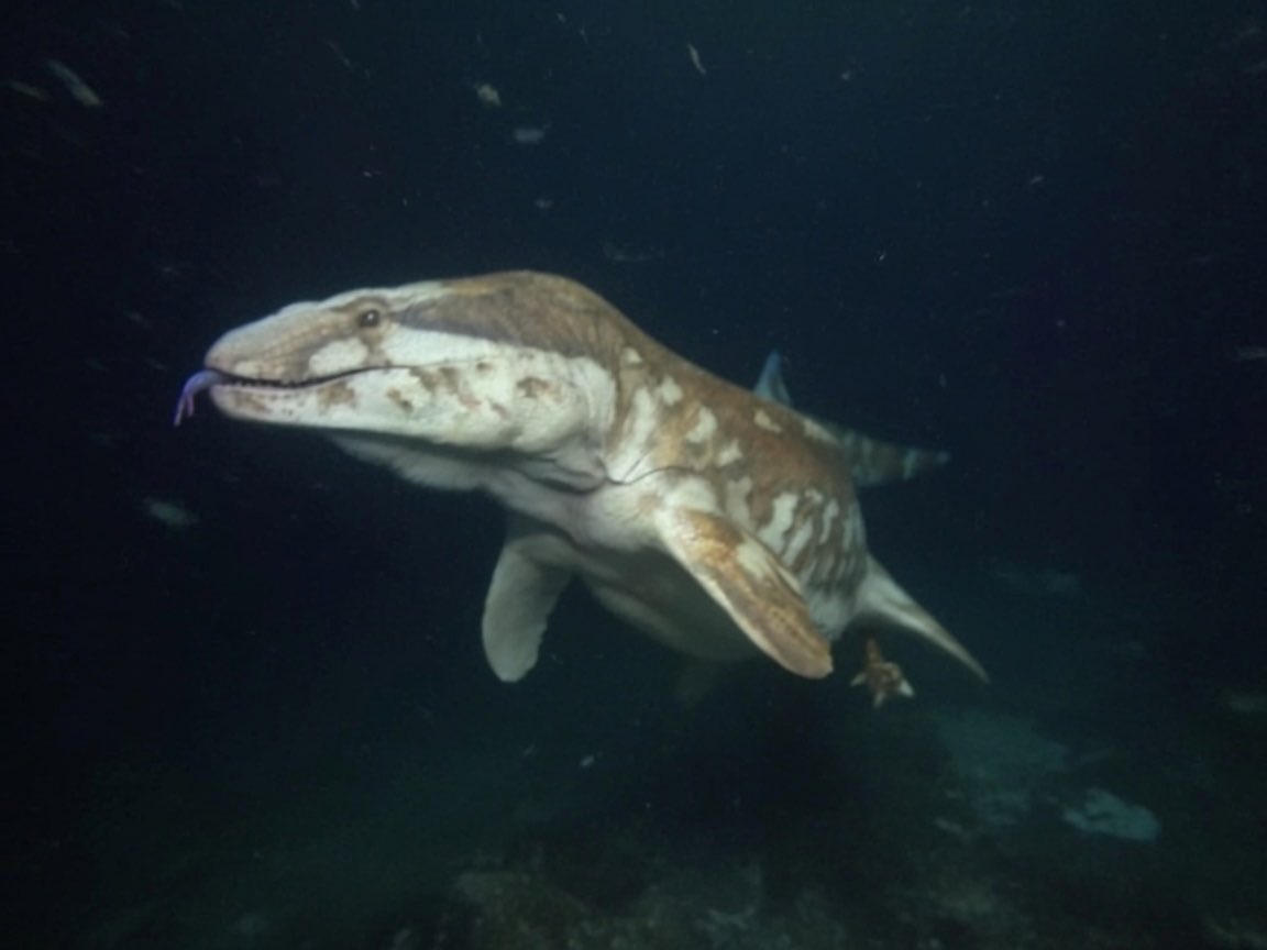 x_seaver's tweet photo. Photos captured by an underwater drone https://t.co/9TZreSIv3g