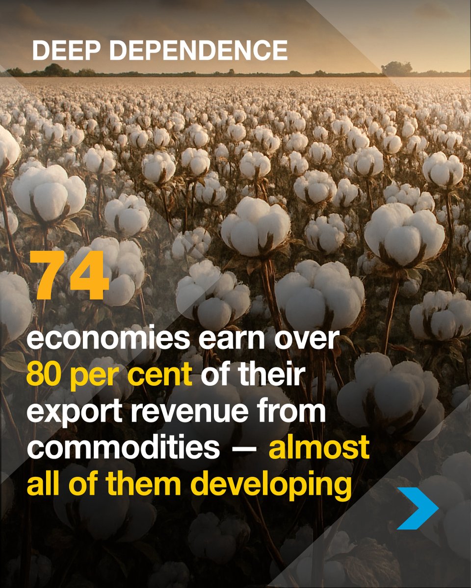 UN Trade and Development tweet media
