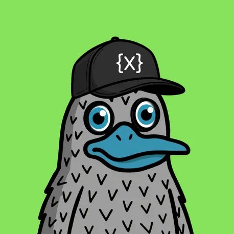 PLATYPUS tweet media