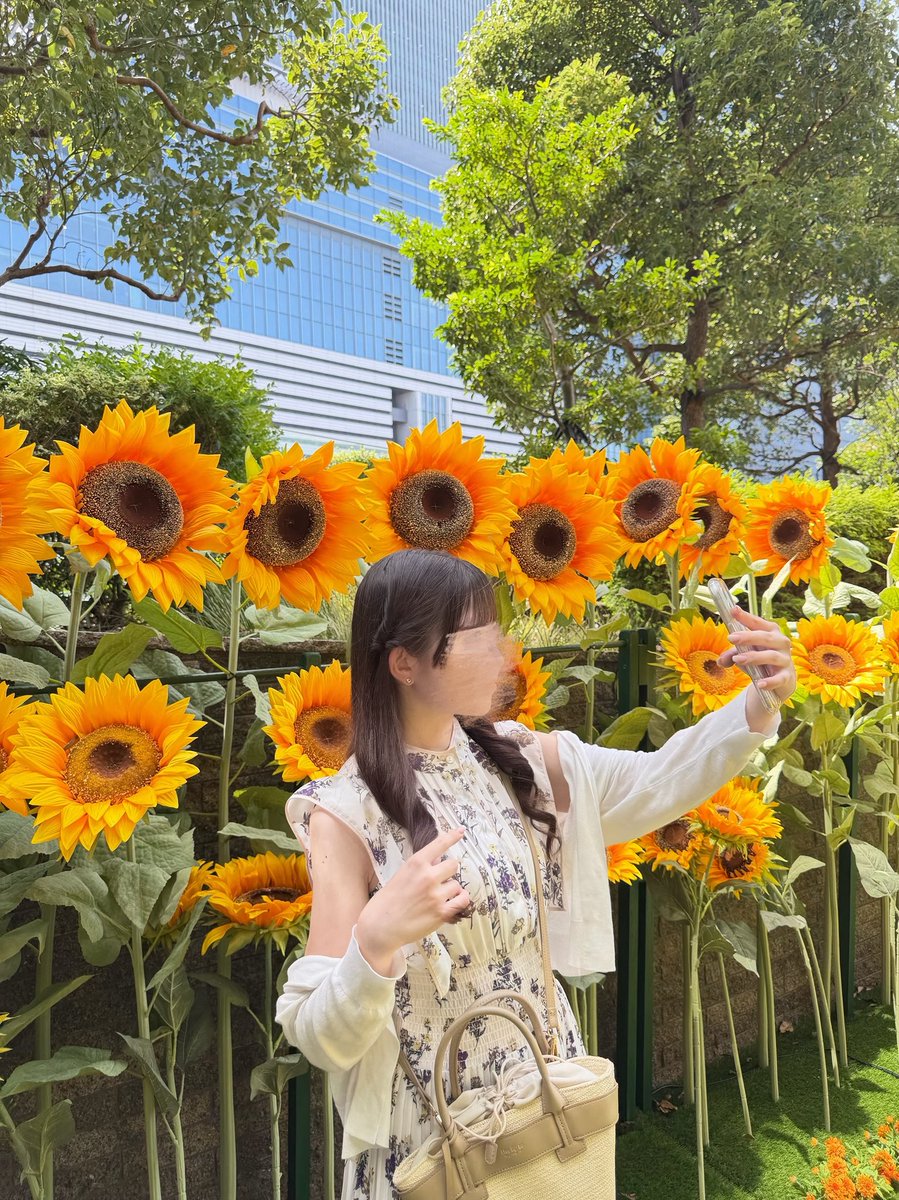 _dearmilo_'s tweet photo. 大名古屋ビルヂングのひまわり🌻🌼✨️ https://t.co/kkCInFdSv0