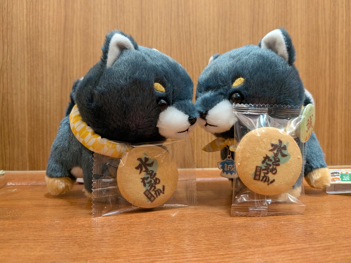 rui_starryroute's tweet photo. ＃源さんぽ
#源さんぽお礼参り
ひのパレから早2カ月、源さんぽ恒例の？お礼参り✨️
井上源三郎資料館、土方歳三資料館、佐藤彦五郎資料館…等などへ
仲間と集えることに感謝(/_;) https://t.co/gldpCTOEzs