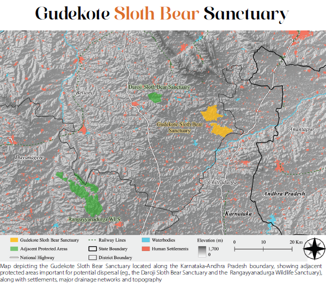 slothbear2026's tweet photo. 🐻🌿 Sloth Bear Sanctuaries of India | Part 4: Gudekote Sloth Bear Sanctuary, Karnataka

📍Established: 2013
📍Location: Ballari district, Karnataka.

Gudekote Sloth Bear Sanctuary lies along the Karnataka–Andhra Pradesh border and represents an important landscape for Sloth Bear conservation in southern India. The sanctuary also has the potential to strengthen habitat connectivity with nearby protected areas, particularly Daroji Sloth Bear Sanctuary and the Rangayyanadurga Wildlife Sanctuary landscape.

The sanctuary comprises dry deciduous forests, scrub vegetation, rocky hillocks, and granite outcrops, supporting Sloth Bears and a diverse assemblage of dry forest wildlife.

Key conservation challenges include habitat fragmentation, scrubland degradation, increasing human–bear interactions, and knowledge gaps across the surrounding landscape. Protecting these ecological linkages will be crucial for sustaining Sloth Bear populations in the region.

📖 Source: Conservation Status Report of Sloth Bear Sanctuaries in India

#ProjectSlothBear #WIIProjectSlothBear #GudekoteSlothBearSanctuary #SlothBear #WildlifeConservation #ProtectedAreas #Karnataka
 
@moefcc @CentralIfs @NationalCAMPA @wii_india @SACONCoimbatore @wii_eiacp @rameshpandeyifs @GobindsagarBha1 @RuchiBadola2 @CRamesh_WII @BivashPand34733 @Kramesh95 @amitwii @UpmaManral @ashishjangid22 @avinashyadv95 @utkarsh41995 @kaushikforwild @Hairypotter0777 @Sindhoora_2001 @Suraj_Chauhan31 @niranjanKv2770 @Kavyak0204 @MitaliJadh34762