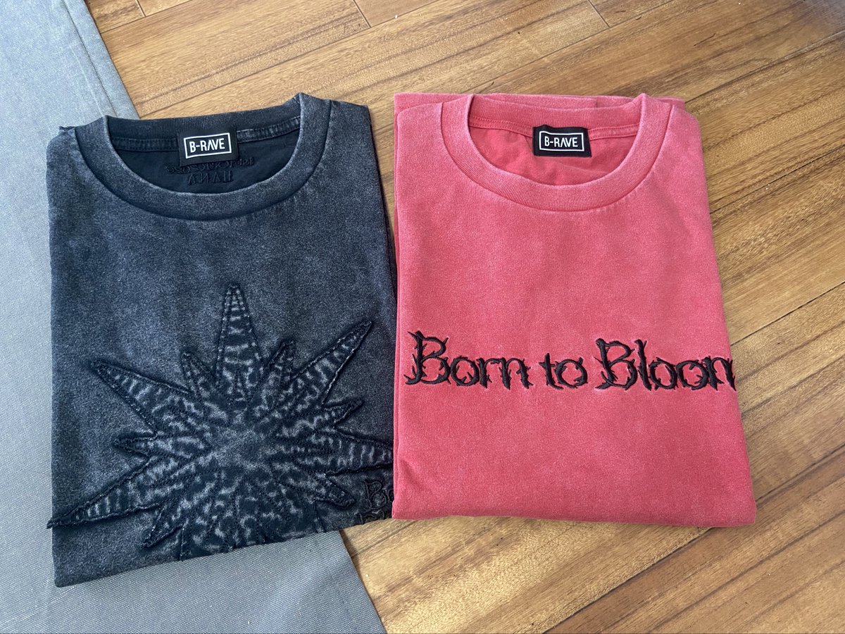 _reireiphoto_'s tweet photo. HANAのグッズが届いて最高🌹
フォトカード開封するの楽しすぎた！！！
こんなに揃ったけど
KOHARUだけいなかった😭😭😭 https://t.co/q8fUqBgnzN