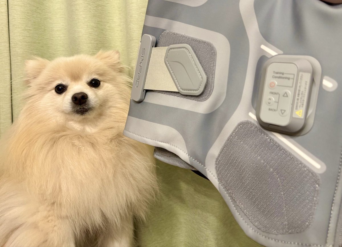 pomechu108's tweet photo. 2022年、語呂合わせ…7な1い4し、から
「内臓脂肪の日」🥩⁉️
えっ、ぽ、ぽめチュは、毛深いだけですよきゅん‼️🐶💦
📸父ちゃんの腰痛にもダイエットにも効いて頂きたい
SIXPAD届いたきゅん📦✨🏡 https://t.co/HfO3KfDmsu