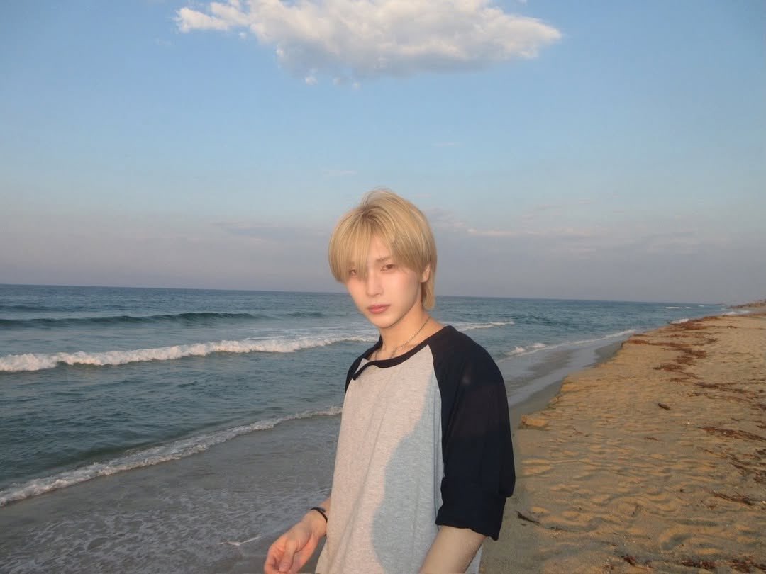 milk1s25's tweet photo. 인용으로 조아하는 센 사진 올리기 하쟈
나는 이거!!!!!(4장이나골라서ㅈㅅ)
바다랑 같이 잇는 센 너무 좋아해서...  🪼🪼
청순미모 극대화된 햎냥이 ♡ https://t.co/NMjznYMtOK