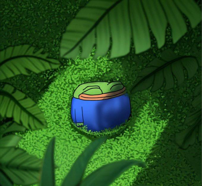 smol pepe tweet media