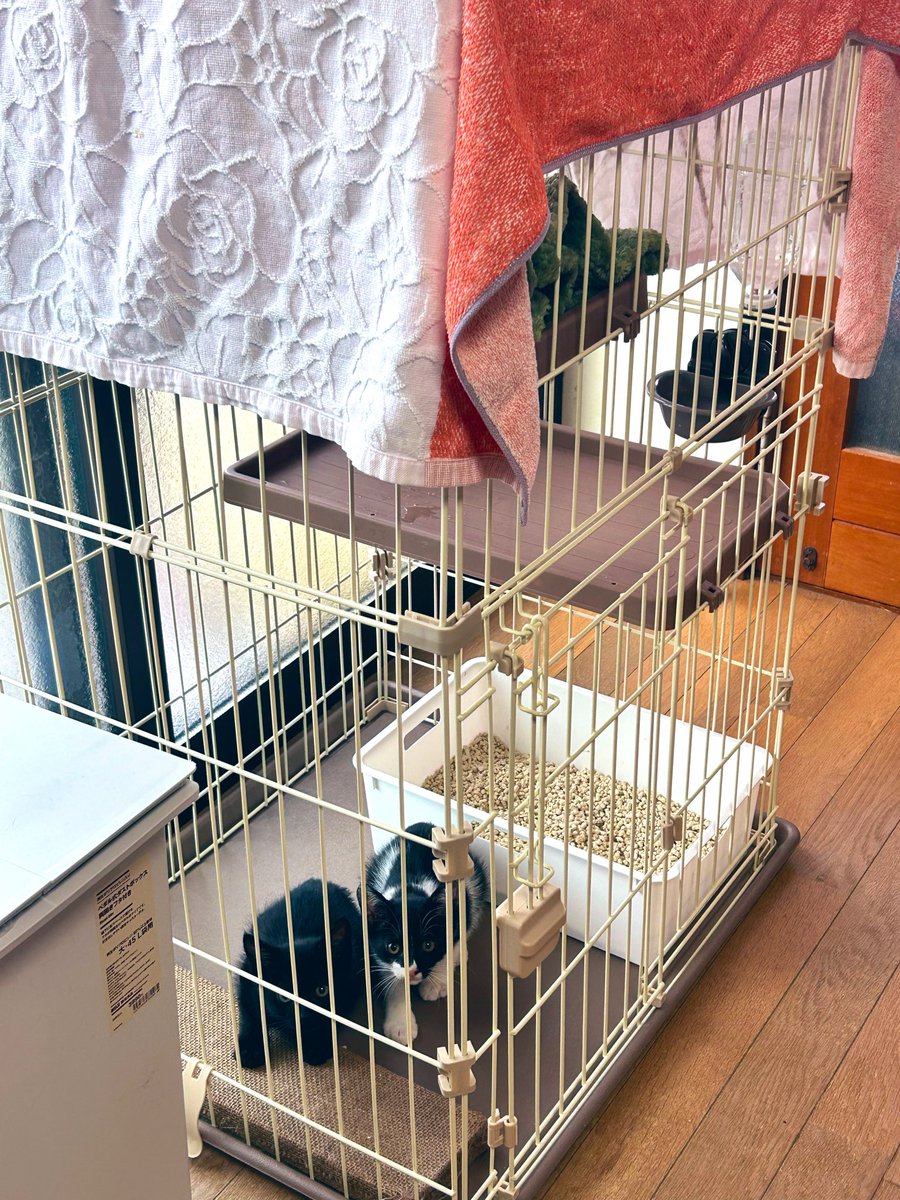 kotaページです。他の方は購入頂けません。