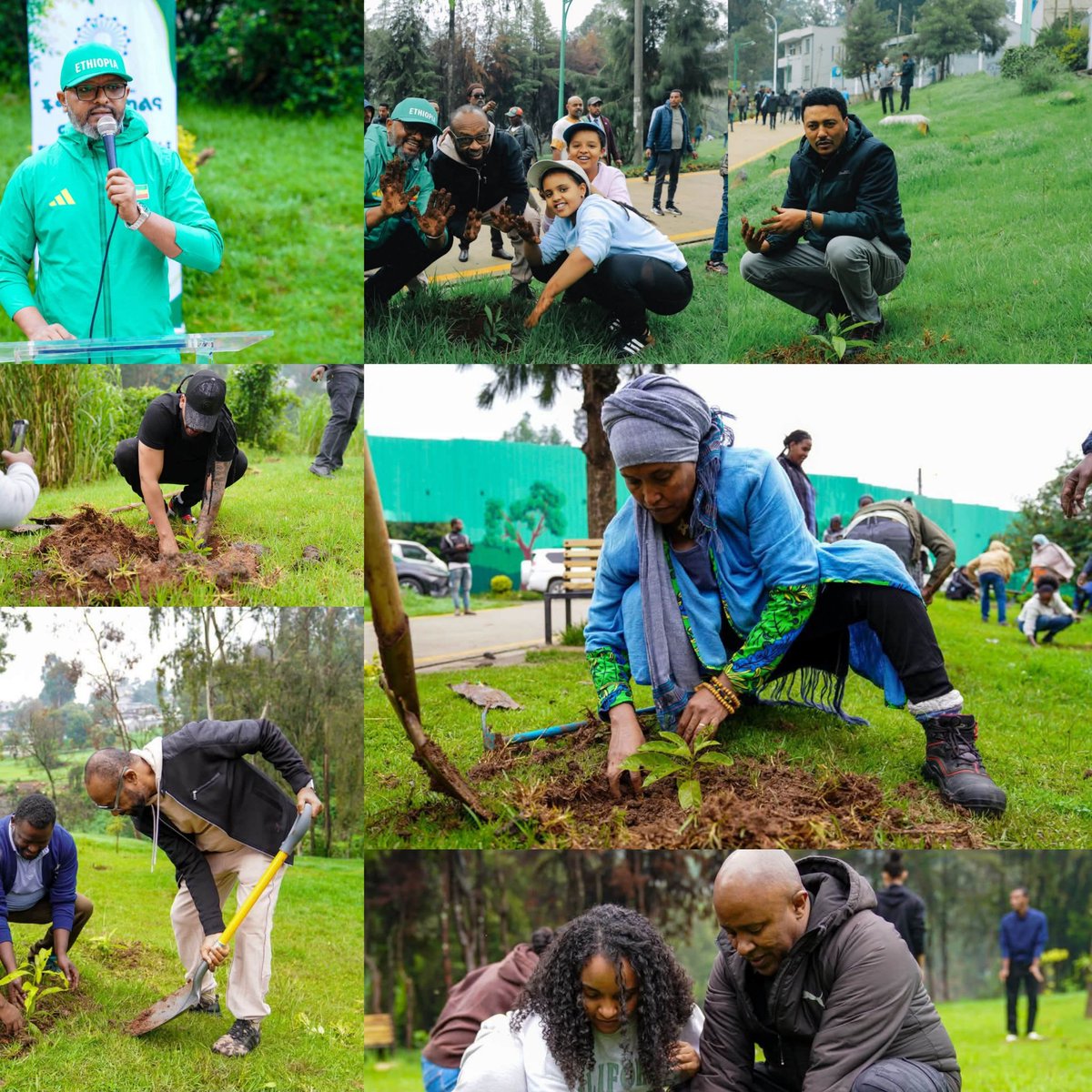 Akakikalitycom's tweet photo. የአዲስ አበባ ከተማ ኮሙኒኬሽን ቢሮ እና የሚድያ ቤተሰብ "ተስፋን እንትከል " በሚል  መሪ ቃል የአረንጓዴ አሻራ አኖሩ! 

ለበለጠ መረጃ፦ https://t.co/CiHnJFfOhB https://t.co/6yTWQAsbyj
