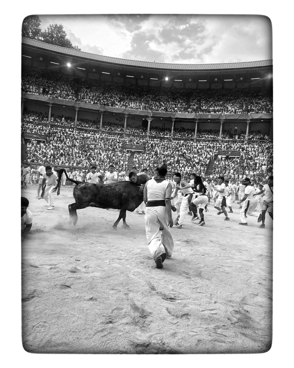 _minus4's tweet photo. we’ll count our loses too.

plaza de toros de pamplona
13.07.26 https://t.co/zd585W3lHg
