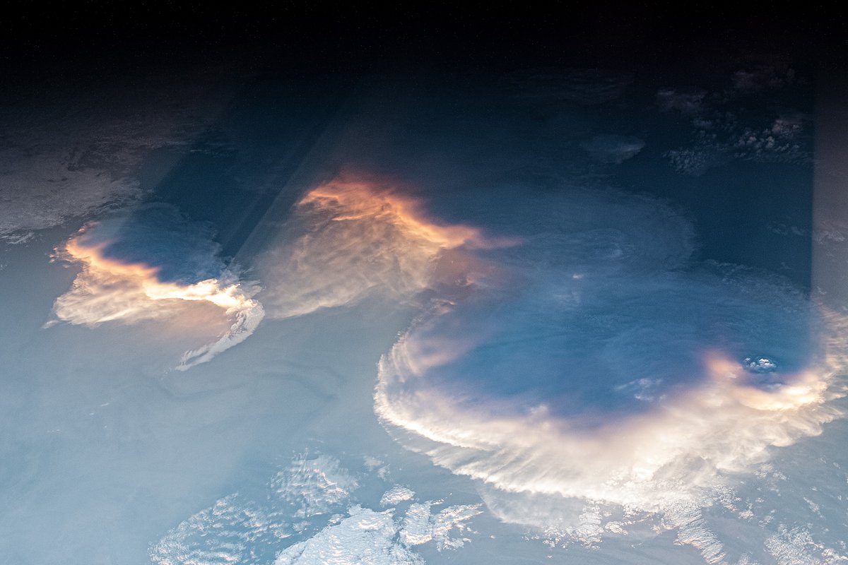 World and Science tweet media