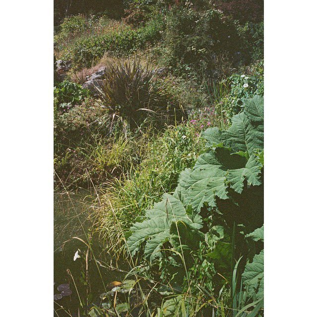 nickdemarco_'s tweet photo. Three more with the Konica Hexar AF, Kodak Portra 400 (Expired), July 2024

Camera No. 18 in my compact camera project: https://t.co/UGTe1z3zwQ

#filmphotography #konica #compactcamera #portra #brighton https://t.co/9WWABLccxx