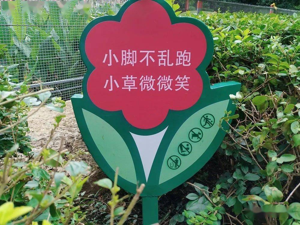 Cafee_full's tweet photo. [Join our community park clean-up this Sat (9AM)! Bring gloves u0026 water—free snacks provided! Let’s keep our neighborhood green together!]， https://t.co/8WNPkYF5Z4