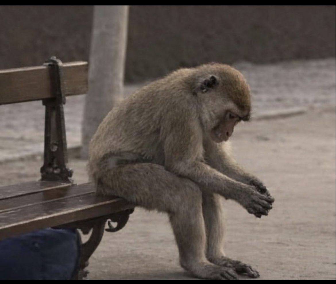 EmmaAlabi275644's tweet photo. You look at your bank account and u feel sick immediately 😔 https://t.co/UJCD5lOwaN