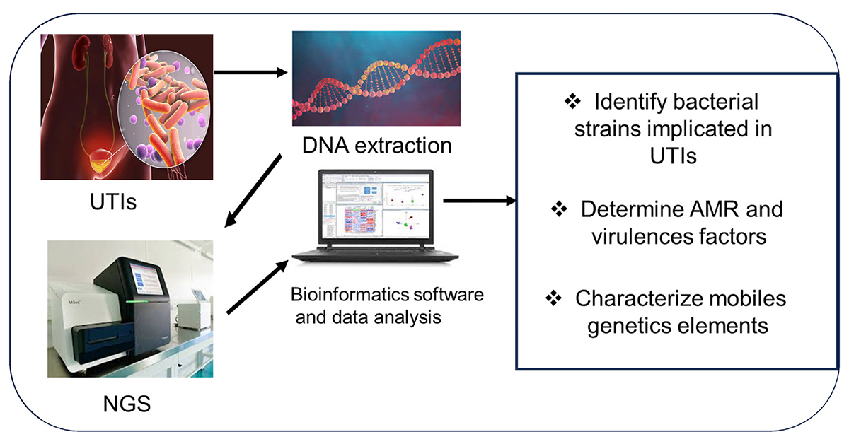 DIT_Journal's tweet photo. Rapid detection of multidrug-resistant pathogens is vital.
This study reports the first genomic characterization of a high-risk Enterobacter hormaechei ST114 clone causing a #UTI. @Ujlog_Daloa #AntimicrobialResistance
#DIT_Journal: https://t.co/BqNzx9cmHl https://t.co/M17u4QoyUE