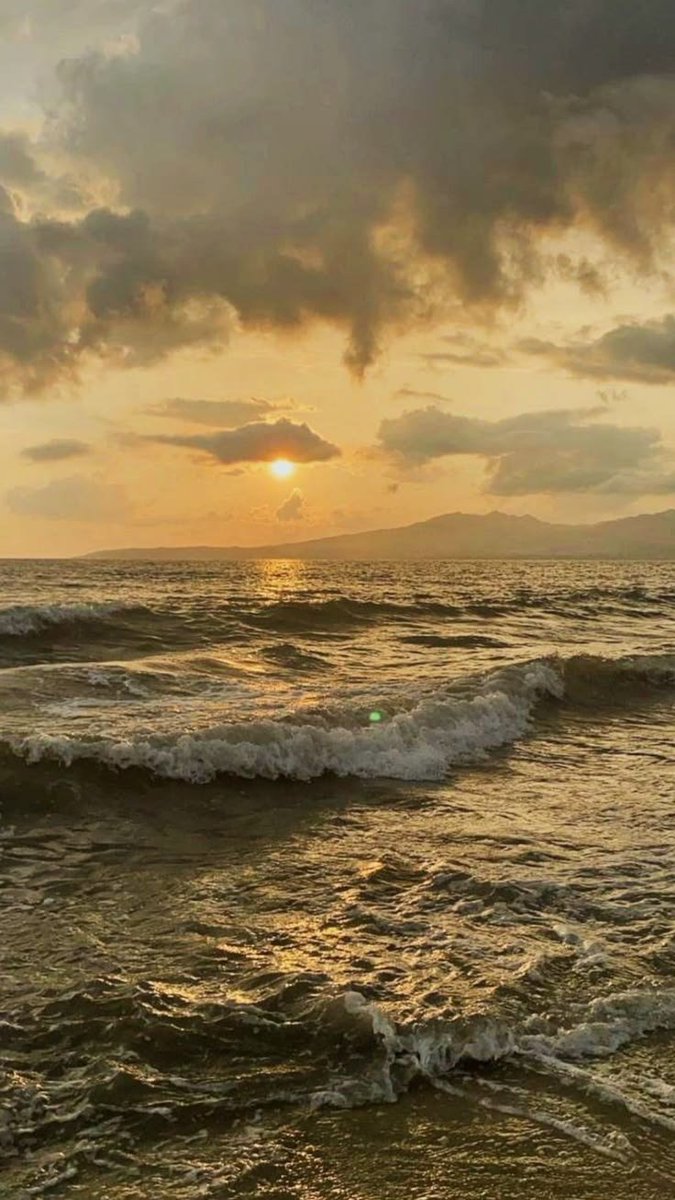 ocean 🌊 tweet media