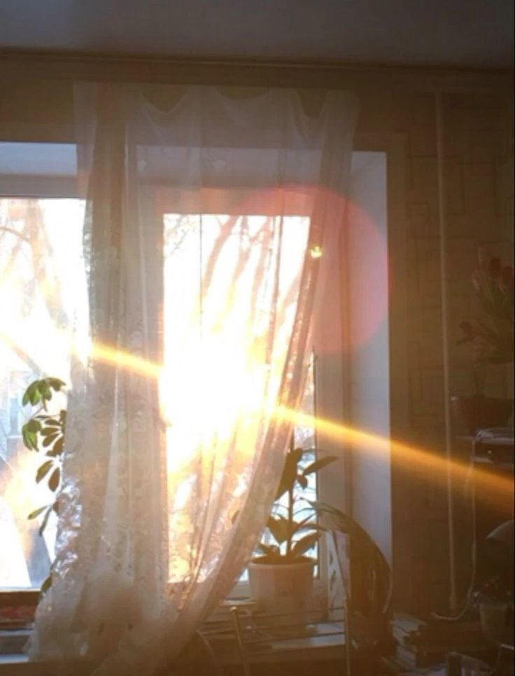 cerezasccrema's tweet photo. VIENTO ⸻ ACEMEMO MINI AU
Donde Acevdo le promete a Memo, su mejor amigo, que le regalaría un deseo por el día de su cumpleaños.
O donde Acevdo se queda dormido el día de su cumpleaños y Memo usa ese tiempo para decidir cuál será su deseo. https://t.co/2AM5WLCVyy