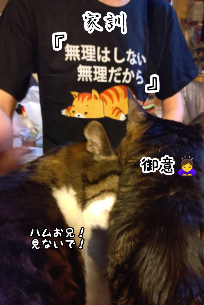 ganbare_0618's tweet photo. プレゼント（笑） https://t.co/314DiUTU45