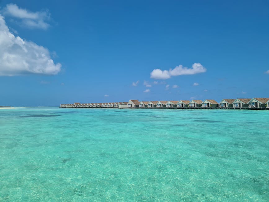logantil3letq's tweet photo. 如果没有 在湖畔和 Isaac Charlotte今天就不会遇见这么可爱的海鸥。 graciela aniello📢 https://t.co/eGYGIvaQH4