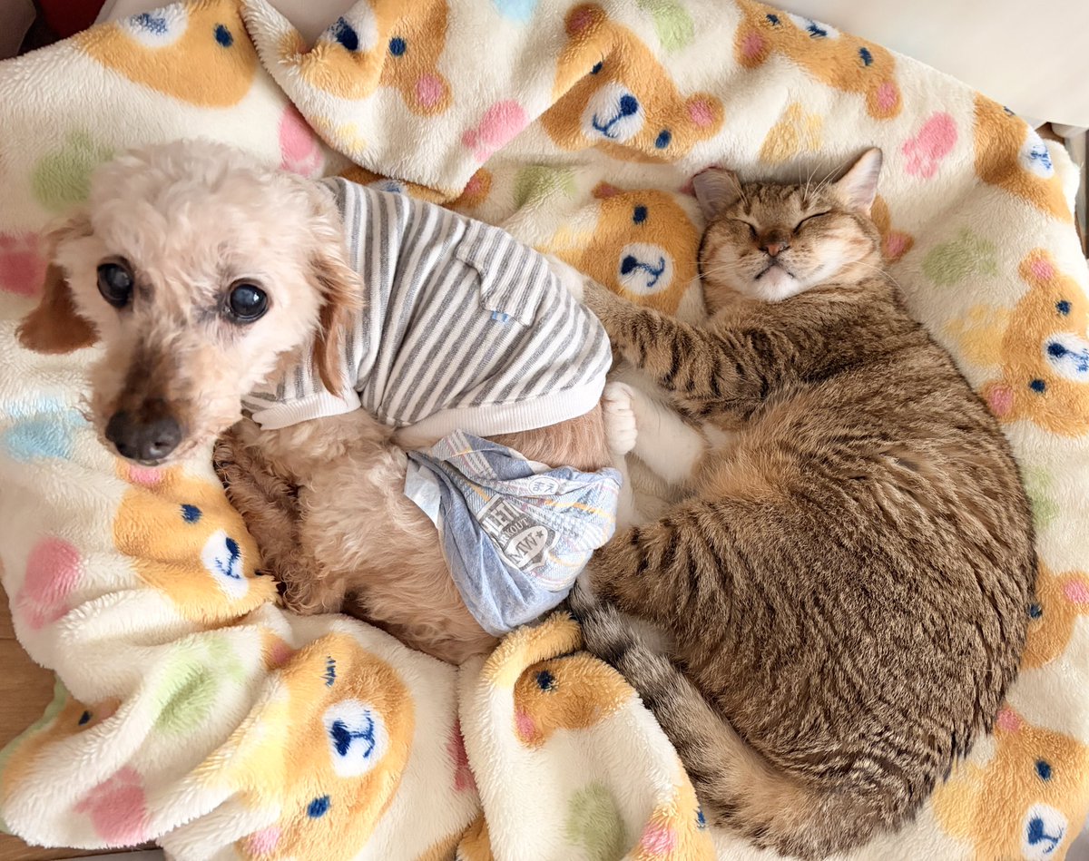 LuckyStar111222's tweet photo. https://t.co/kKmaboBv9j