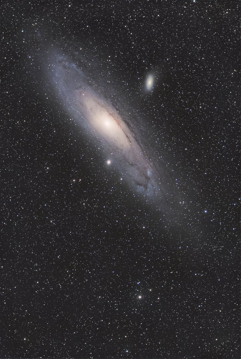prontof68's tweet photo. 【M31移歩換景】

アンドロメダ大銀河外縁のF5型前景星
HIP3293を芯に据え、SPCC＝Average Spiral Galaxy

星々の庭に据えられた巨石のようなM31
これを引き立てる添え石のごとき伴銀河
この威壮さを際立たせる南に広がる静かな星野

構図をわずかに半歩ずらすだけで
別の相を示す宇宙の姿を撮ってみた https://t.co/FA6dJBC9s1