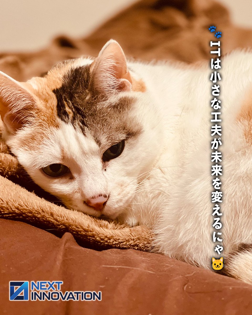nxtinnovations's tweet photo. 🐾猫社長ゆずマルにゃ🐱
2026年7月14日（火）🌿
今日は「パリ祭（フランス革命記念日）」にゃ🇫🇷新しい時代は、小さな一歩から始まるにゃ✨
ITの世界も、毎日の小さな改善や工夫が大きな成果につながるにゃ🐾
今日も焦らず、自分のペースで一歩ずつ進んでいこうにゃ😸💻#今日は何の日 #パリ祭 #IT豆知識 #業務改善 #デジタル活用 #猫社長 #ゆずマル #仕事術 #DX #ビジネス #ネクストイノベーション #IT企業