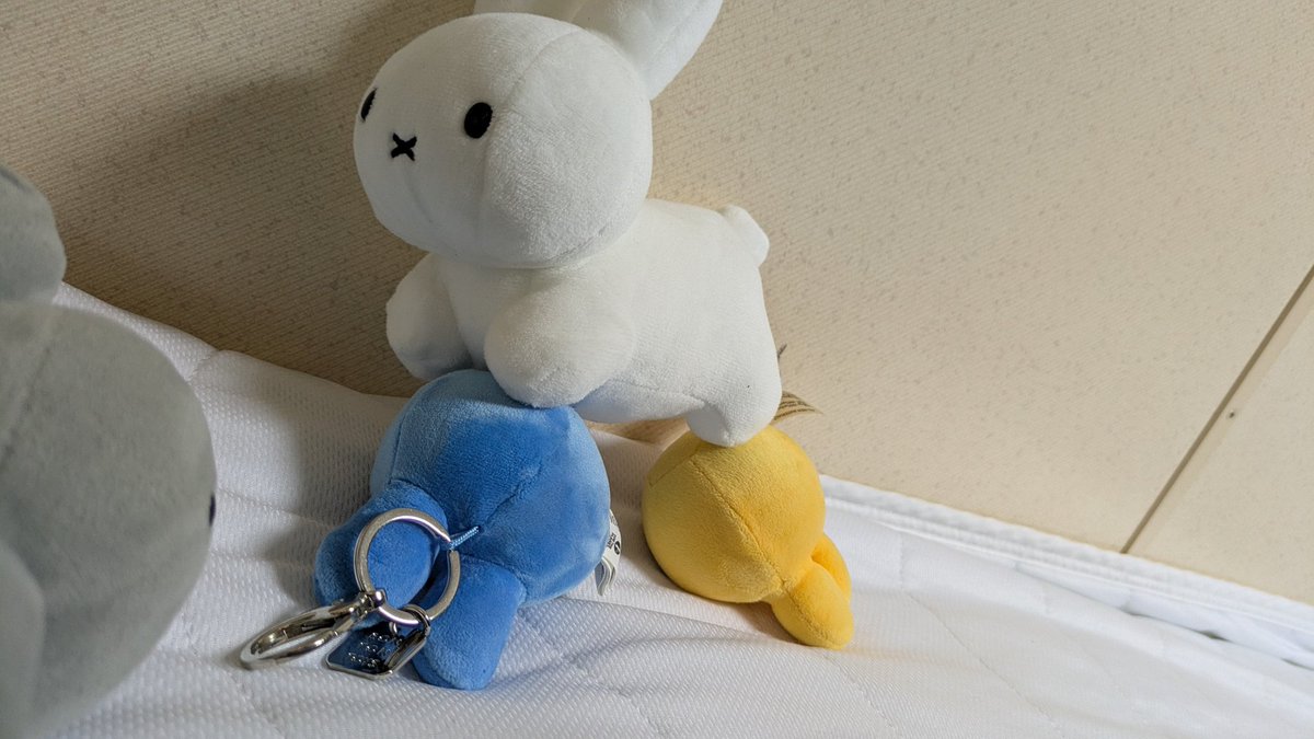 sekiunhage996's tweet photo. (・×・*)
(ﾟ×ﾟ)(ﾟ×ﾟ)ぐわあー

(｀・×・)こりゃー

 #ぬい撮り
 #ブルーナうさぎ
 #BONTONTOYS
 #目が覚めたらこうなってた https://t.co/kuNFTqzHk1