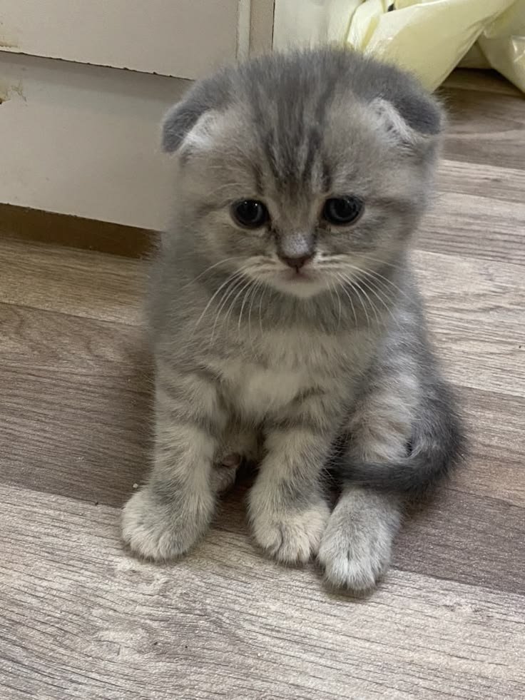 pcfkokoro's tweet photo. @Yernjun @TXT Sekarang udah sore sii, gak ada kegiatan https://t.co/M9Wo7sna2r