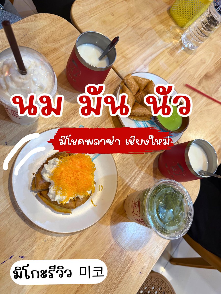 EarnEmpty's tweet photo. 📍 นม มัน นัว (Milk • Toast • Bingsu)
มีโชคพลาซ่า จ.เชียงใหม่

ของหวานที่กินแล้วฮีลใจ 🍞🍧💚 วิปครีมนุ่ม ฝอยทองแน่น สังขยาใบเตยหอม ๆ บิงซูละมุน ราคาสบายกระเป๋า เริ่มต้นแค่ 24 บาท ใครอยู่เชียงใหม่ต้องแวะ! 🤍✨ #รีวิวเชียงใหม่ #เชียงใหม่ #คาเฟ่ในเชียงใหม่ 
https://t.co/L392NpeHhp https://t.co/uq9HLumpL7