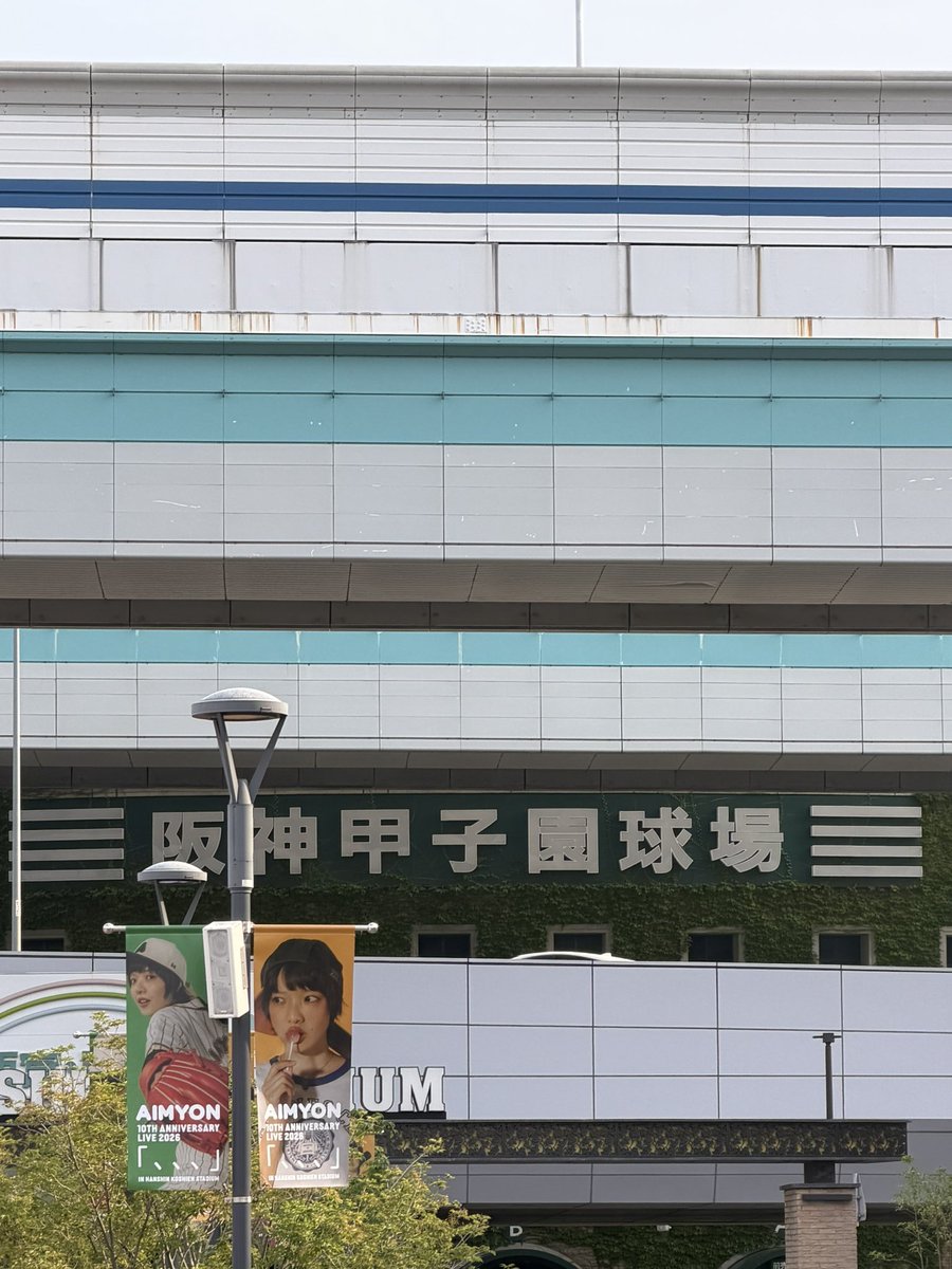 Troll__dayoooo's tweet photo. あいみょん⚾️︎ ̖́-❕ https://t.co/Sx3IX18WFF