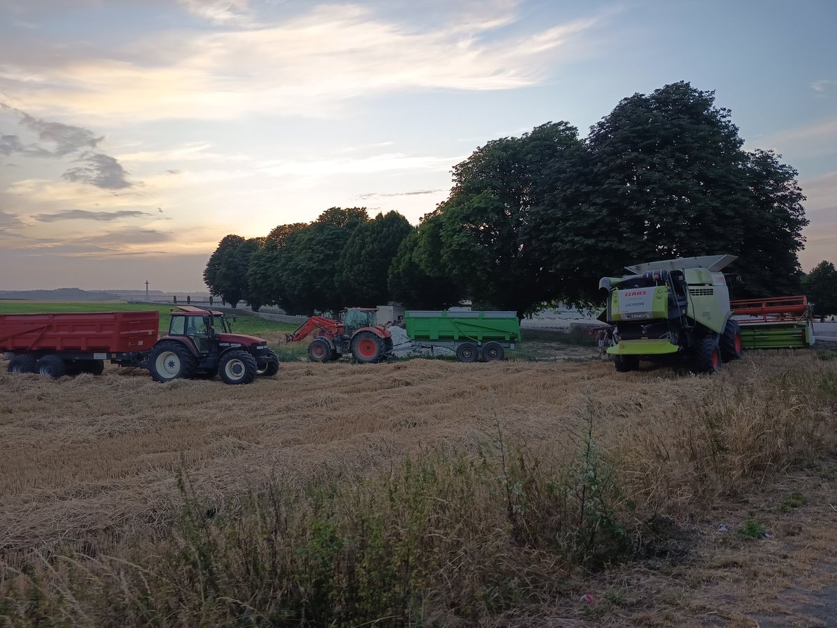 A_Beauc's tweet photo. Après la #traite des #vaches 🐮, on joue les transporteurs de chariot de coupe, on profite de la vue.
Les blés se terminent, encore quelques hectares et #zaza le colza.
@Fragritwittos
#FrAgTw
#moisson2026
#harvest2026 https://t.co/b0rS3hQOSo