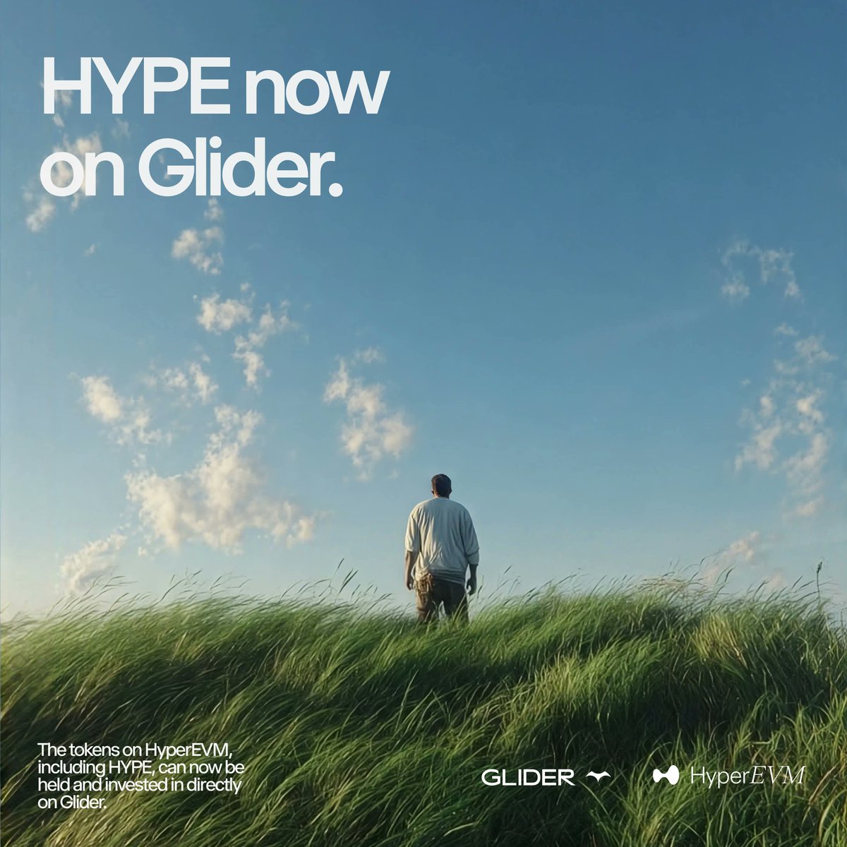 Glider tweet media