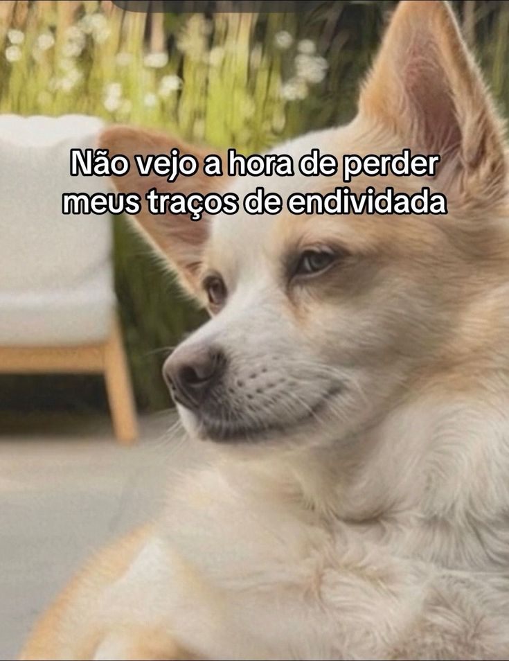thaysilvarf's tweet photo. Quem sabe esse dia não chega KKKKKKKKKKKKK https://t.co/ve7onVb1gW